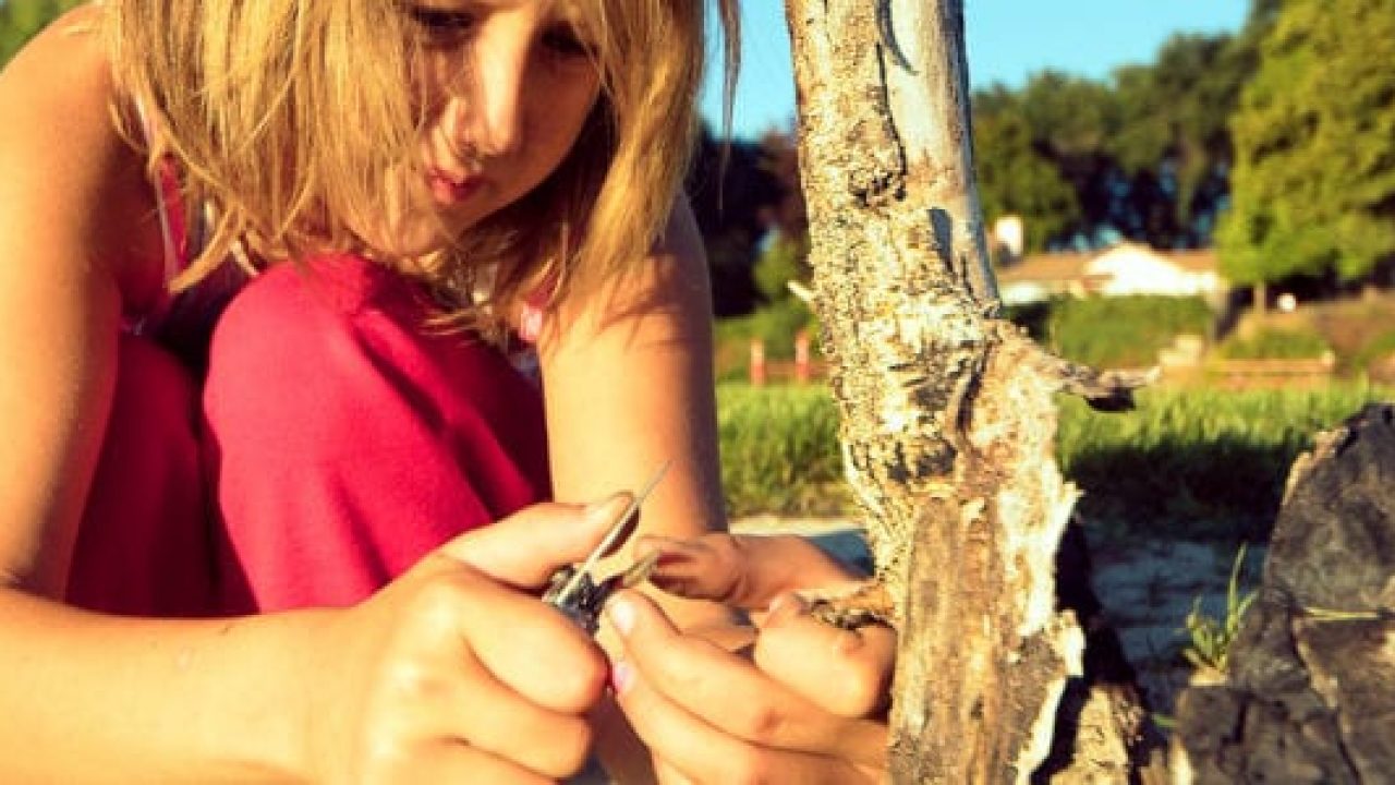 Raylynn examines the local flora for variations.